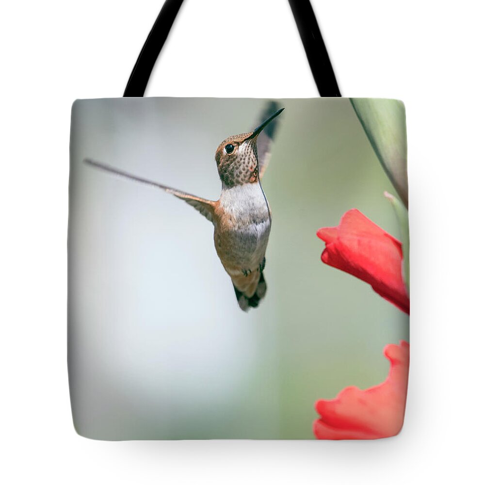 Rufous Tote Bag featuring the photograph Rufous Flying by Kristine Anderson
