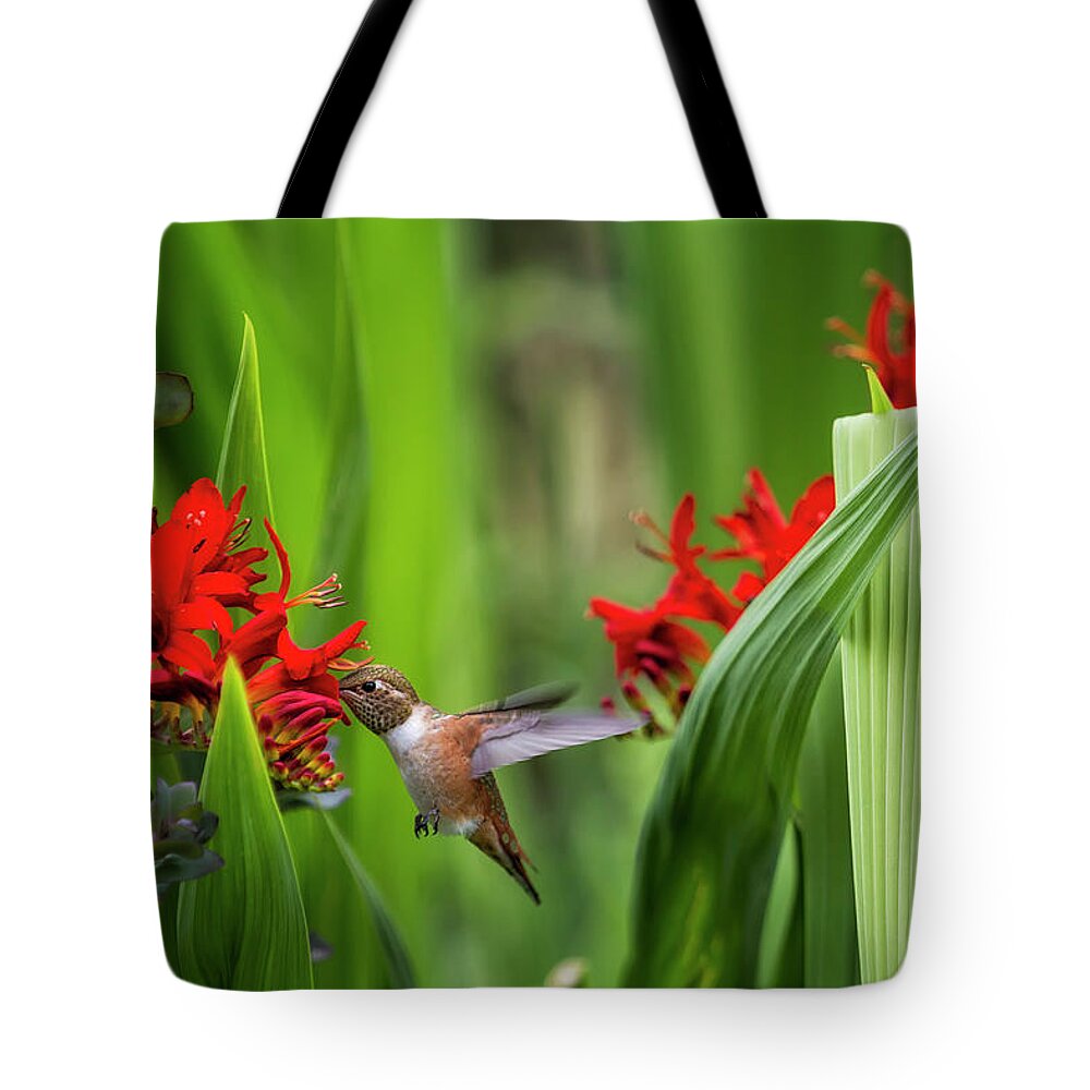 Rufous Hummingbird Tote Bag featuring the photograph Rufous Hummingbird Feeding, No. 3 by Belinda Greb
