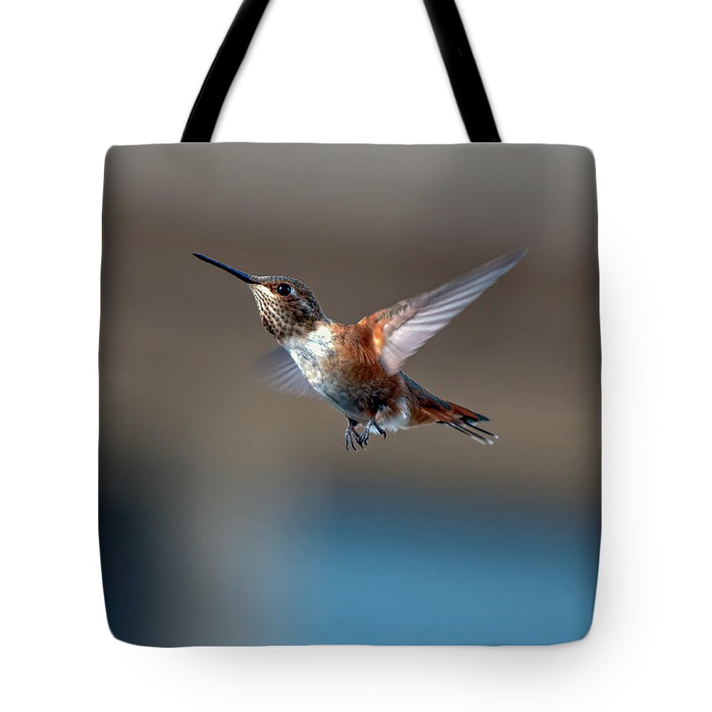 Hummingbird Tote Bag featuring the photograph Rufus Hummingbird by Rick Mosher