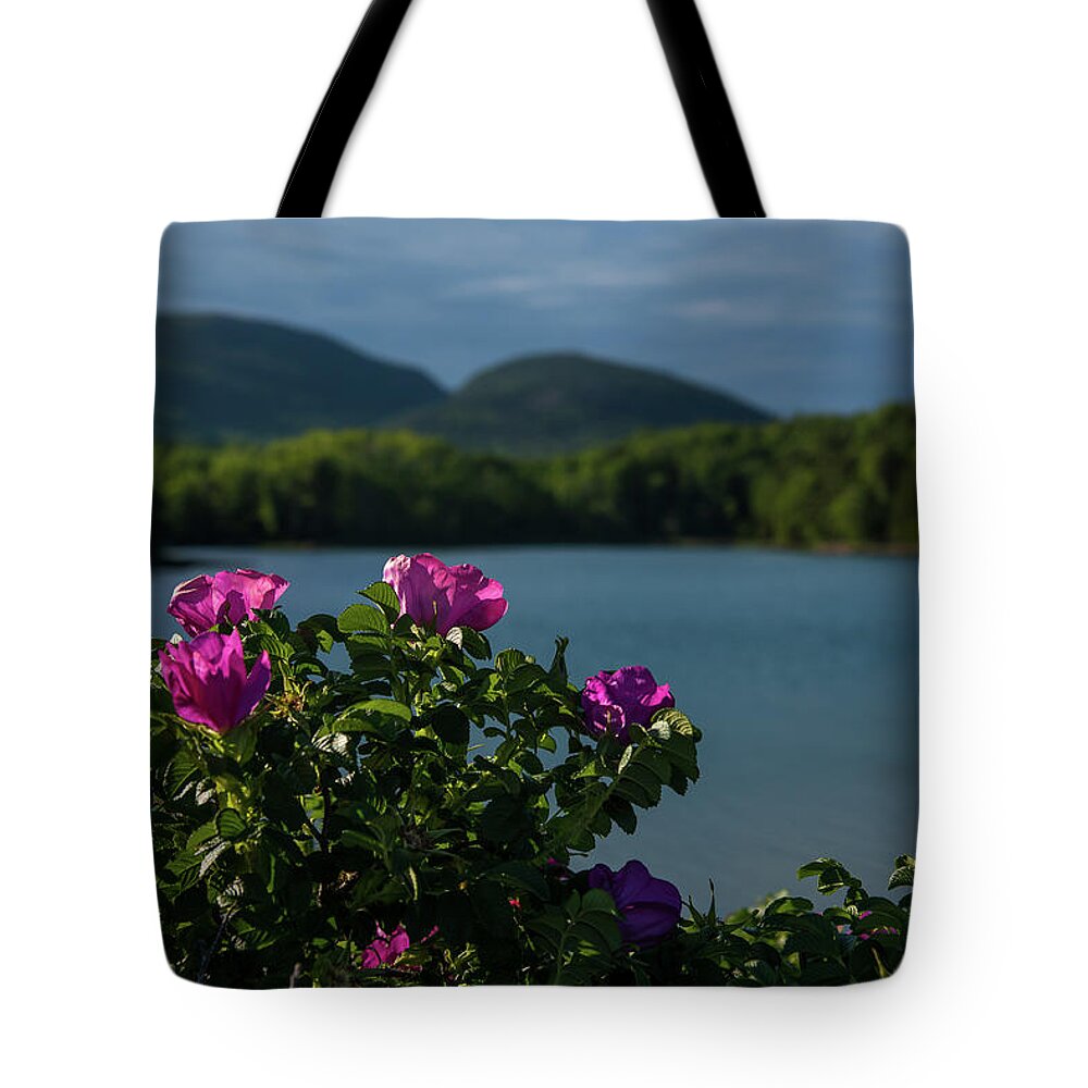 Acadia National Park Tote Bag featuring the photograph Rugged Rose in Otter Cove by Lynn Thomas Amber