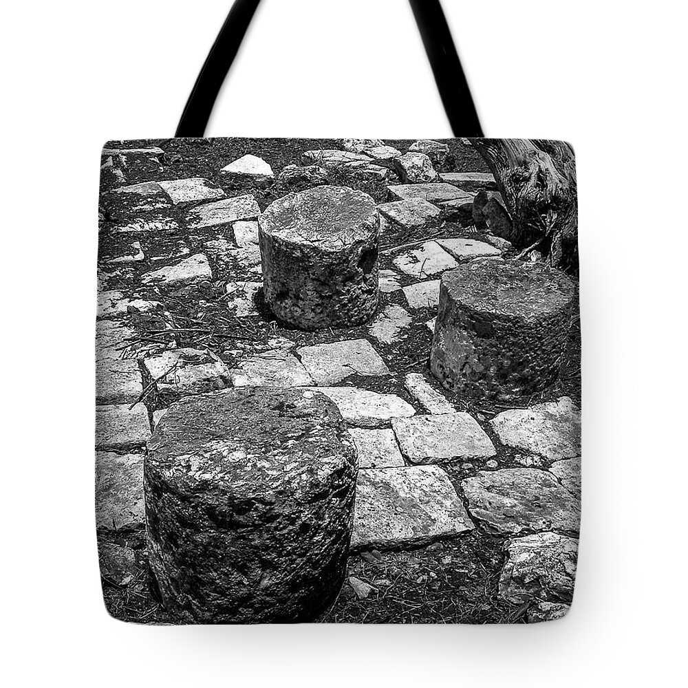 Maya Tote Bag featuring the photograph Ruins in Chichenitza Mexico by Frank Mari