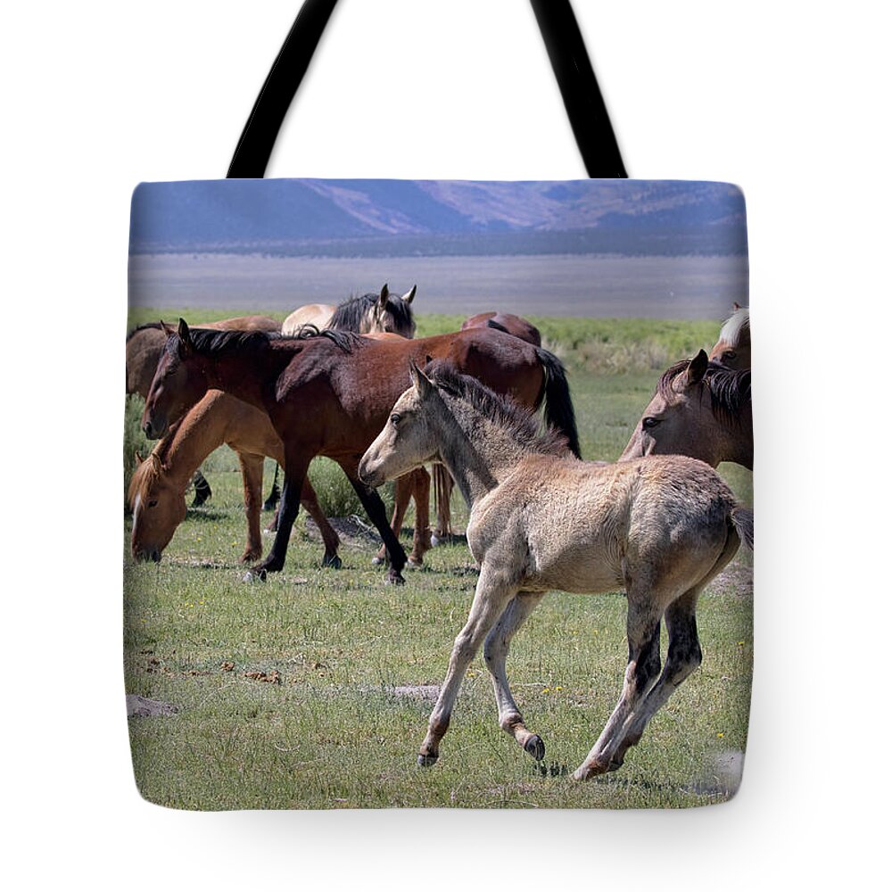 Eastern Sierra Tote Bag featuring the photograph Running Colt by Cheryl Strahl