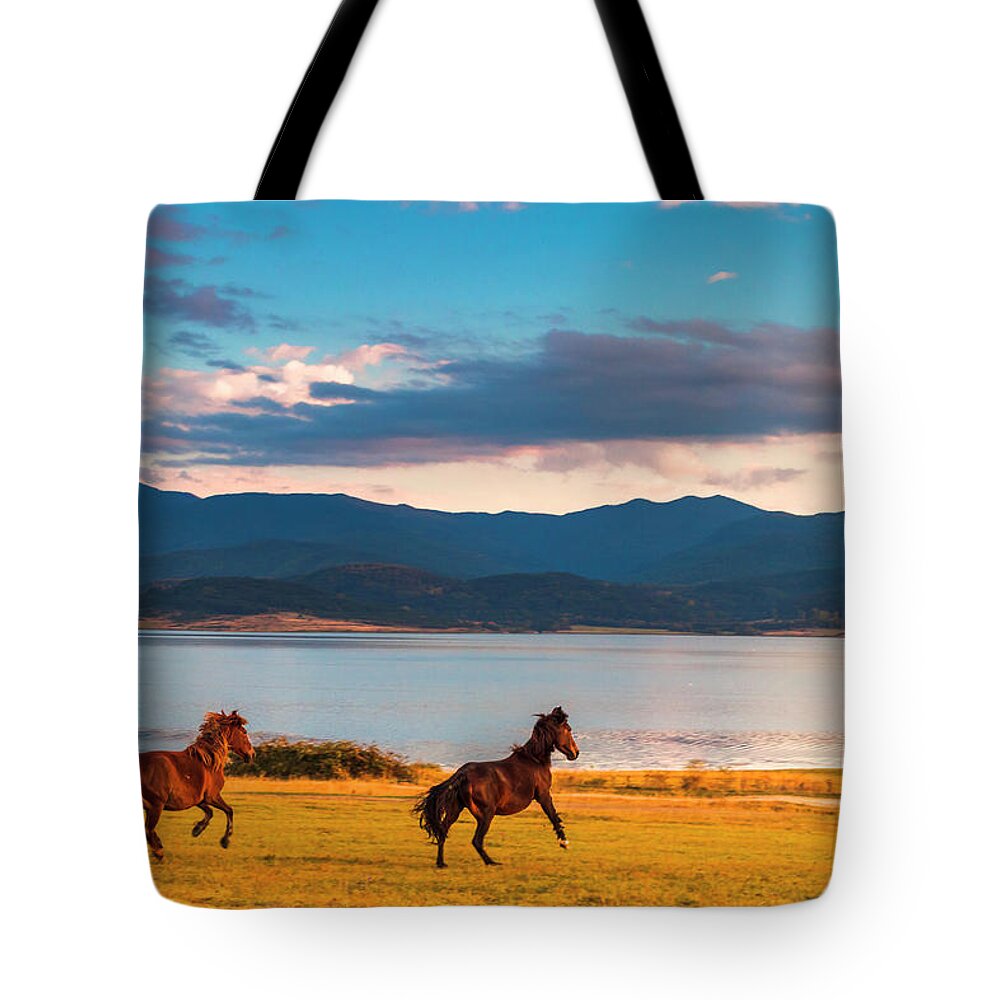 Animal Tote Bag featuring the photograph Running Horses by Evgeni Dinev