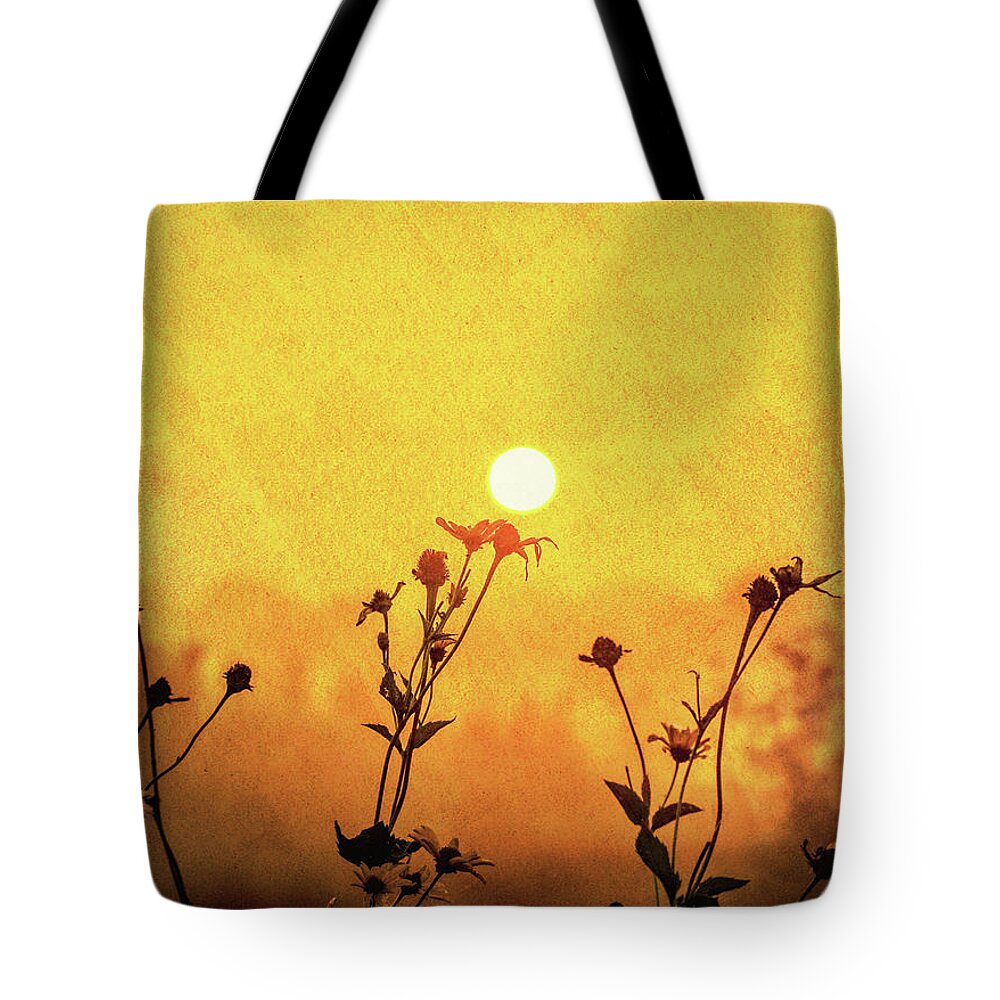 Rural Morning Texture Tote Bag featuring the photograph Rural Morning Texture by Dan Sproul