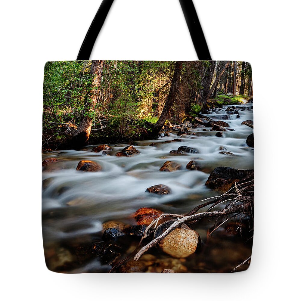 Fishhook Creek Tote Bag featuring the photograph Rushing Fishhook Creek in Stanley Idaho USA by Vishwanath Bhat