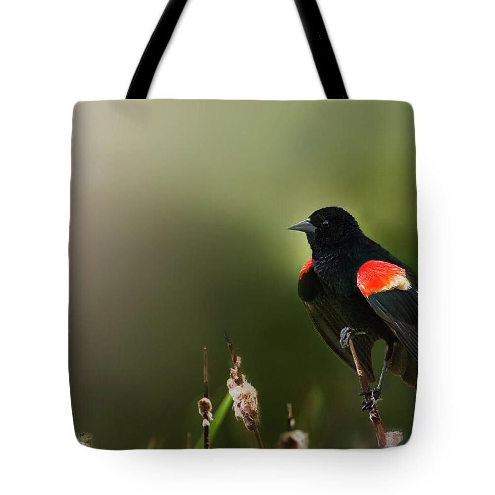 Bird Tote Bag featuring the photograph RWBB on a Cattail by John Christopher