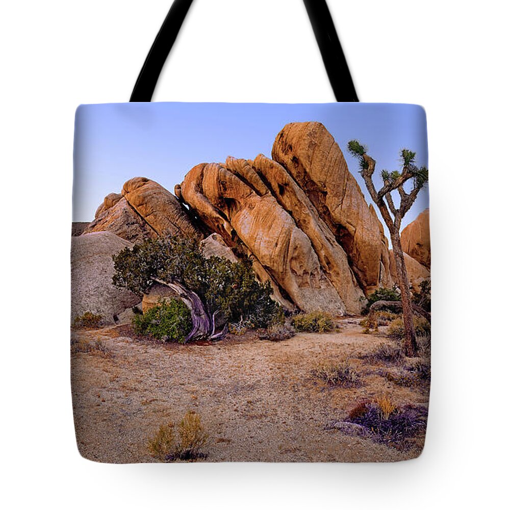 Landscape Tote Bag featuring the photograph Ryan Mountain Rock Formation Pano View by Paul Breitkreuz