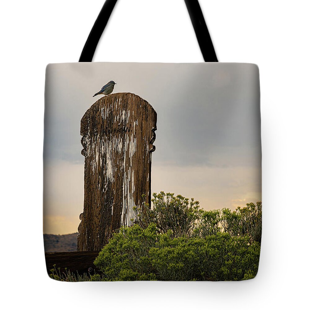 Nevada Tote Bag featuring the photograph Sacred Messenger by Mike Lee