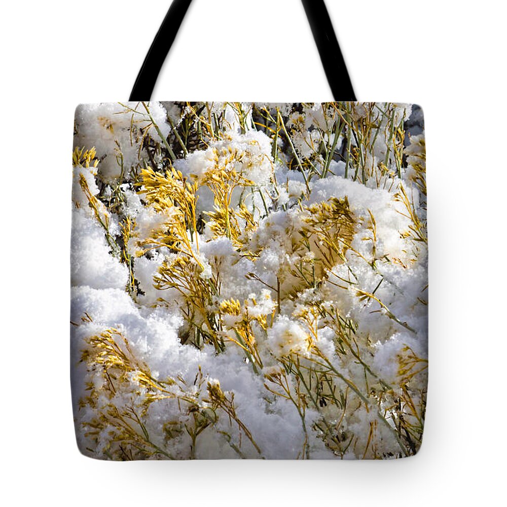 Sagebrush Tote Bag featuring the photograph Sagebrush covered by snow, Utah by Tatiana Travelways