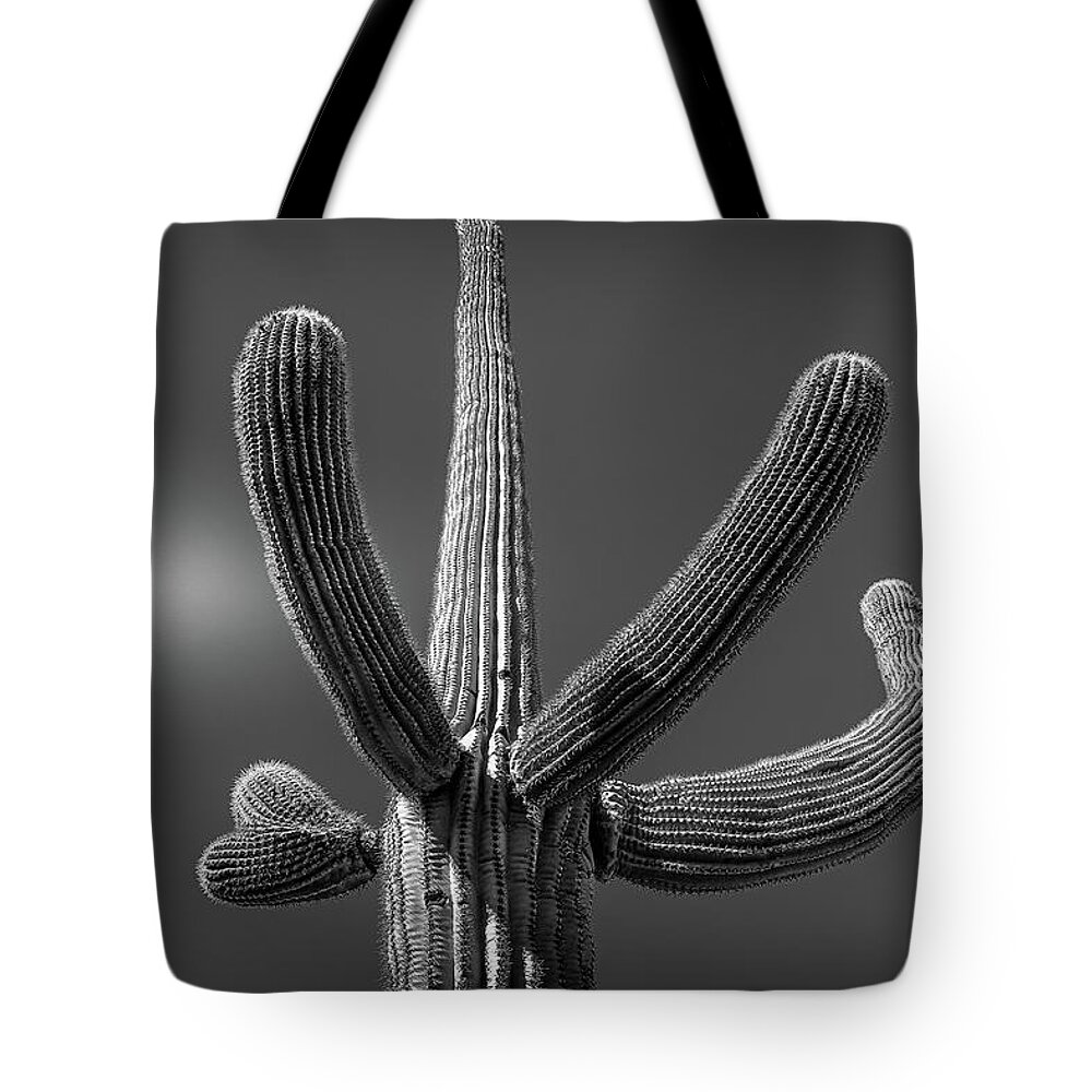 Minimalism Tote Bag featuring the photograph Saguaro #1 Selenuim by Jennifer Wright