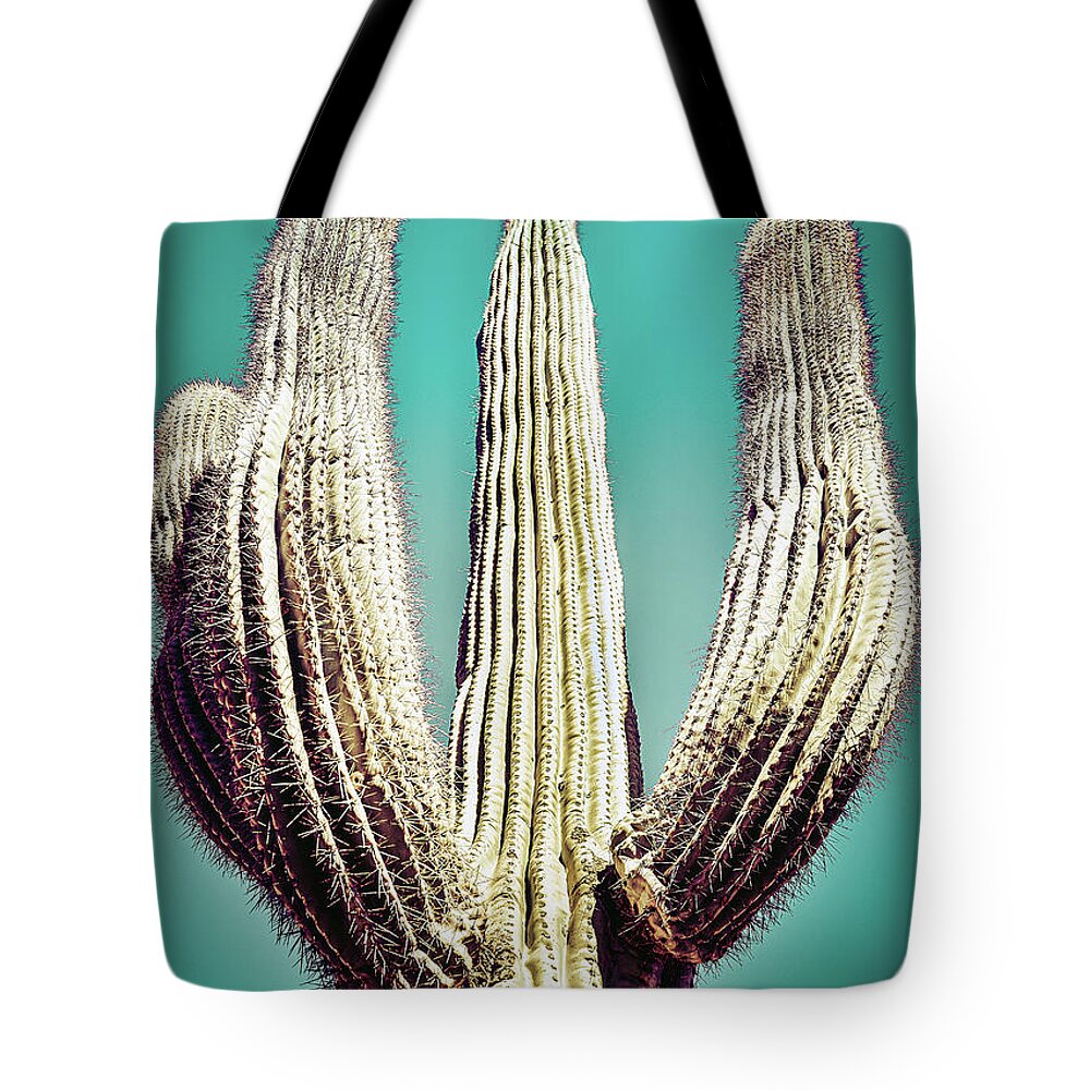 Atmospheric Tote Bag featuring the photograph Saguaro #4 by Jennifer Wright