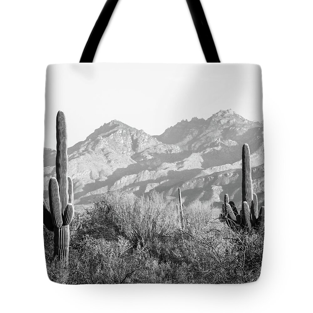 Saguaro Tote Bag featuring the photograph Saguaro National Monument in Black and White by Katie Dobies