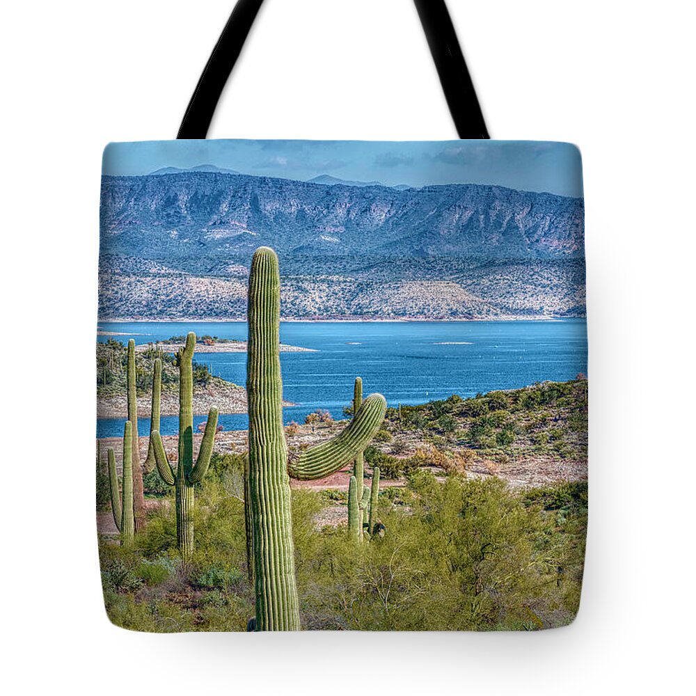 Lake Tote Bag featuring the photograph Saguaro View by Pamela Dunn-Parrish
