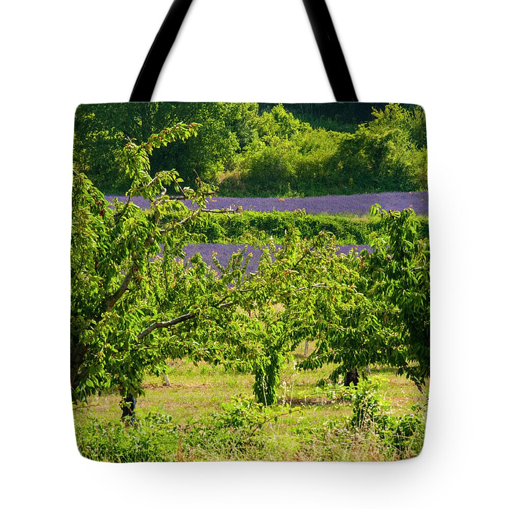Provence Tote Bag featuring the photograph Saignon Fruit Trees and Lavender by Bob Phillips