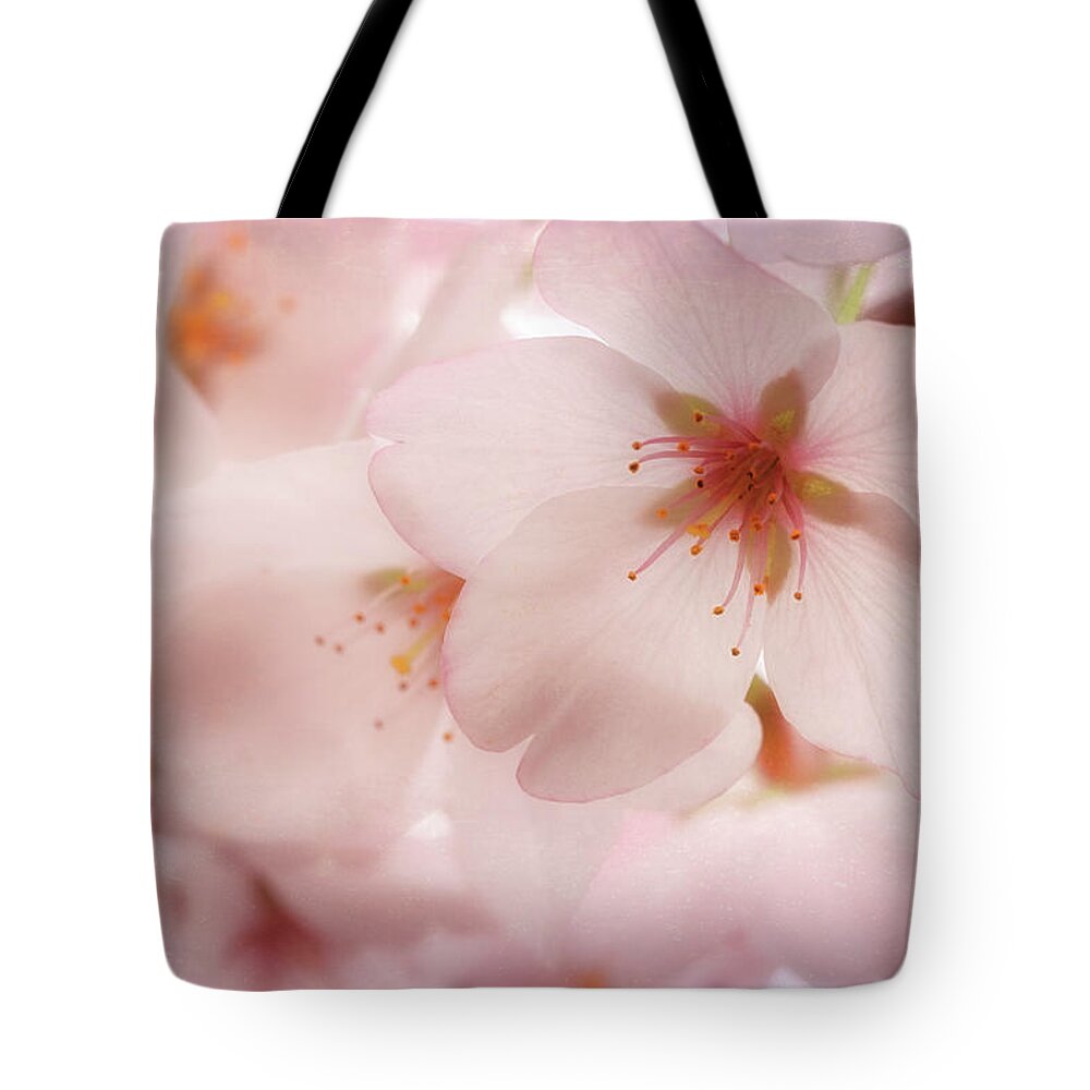 Cherry Blossoms Tote Bag featuring the photograph Sakura by Susan Rissi Tregoning