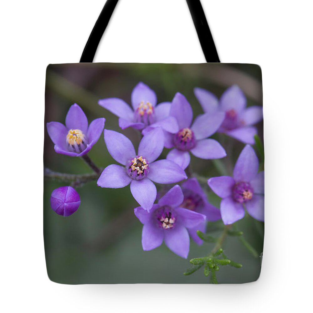 Pepper And Salt Tote Bag featuring the photograph Salt and Pepper by Elaine Teague