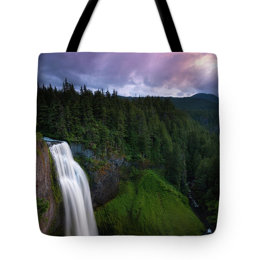 Waterfall Oregon Saltcreekfalls Tote Bag featuring the photograph Salt Creek Falls, OR by Andrew Kumler