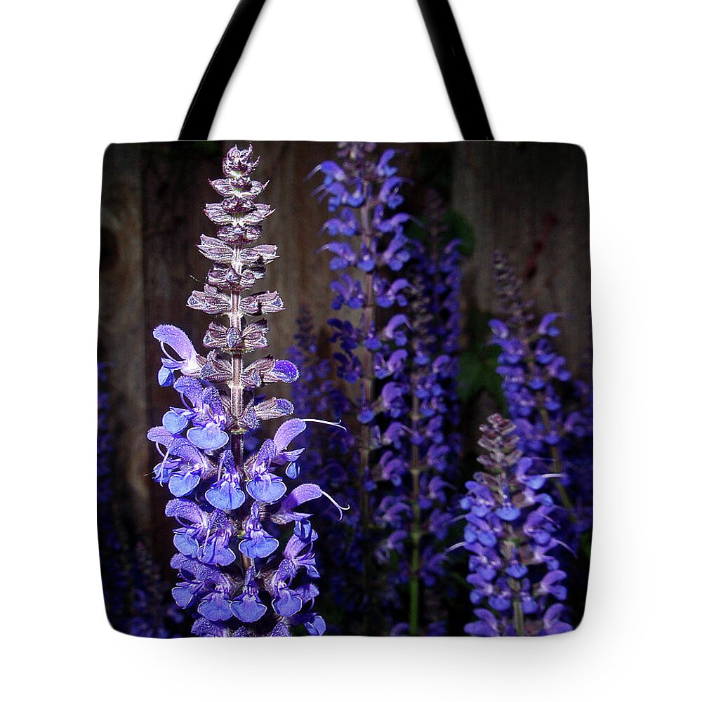 Salvia Blossoms Tote Bag featuring the photograph Salvia Blossoms by Natalie Dowty