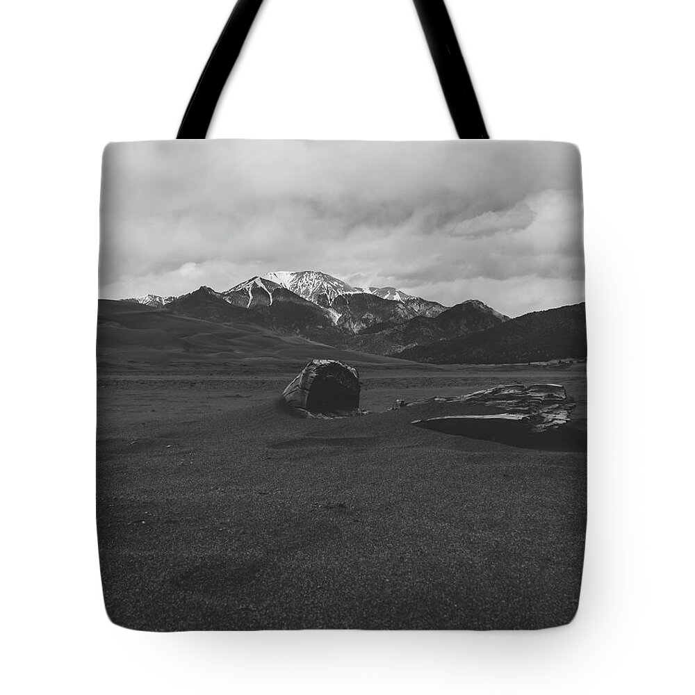  Tote Bag featuring the photograph Sand Dune Log by William Boggs