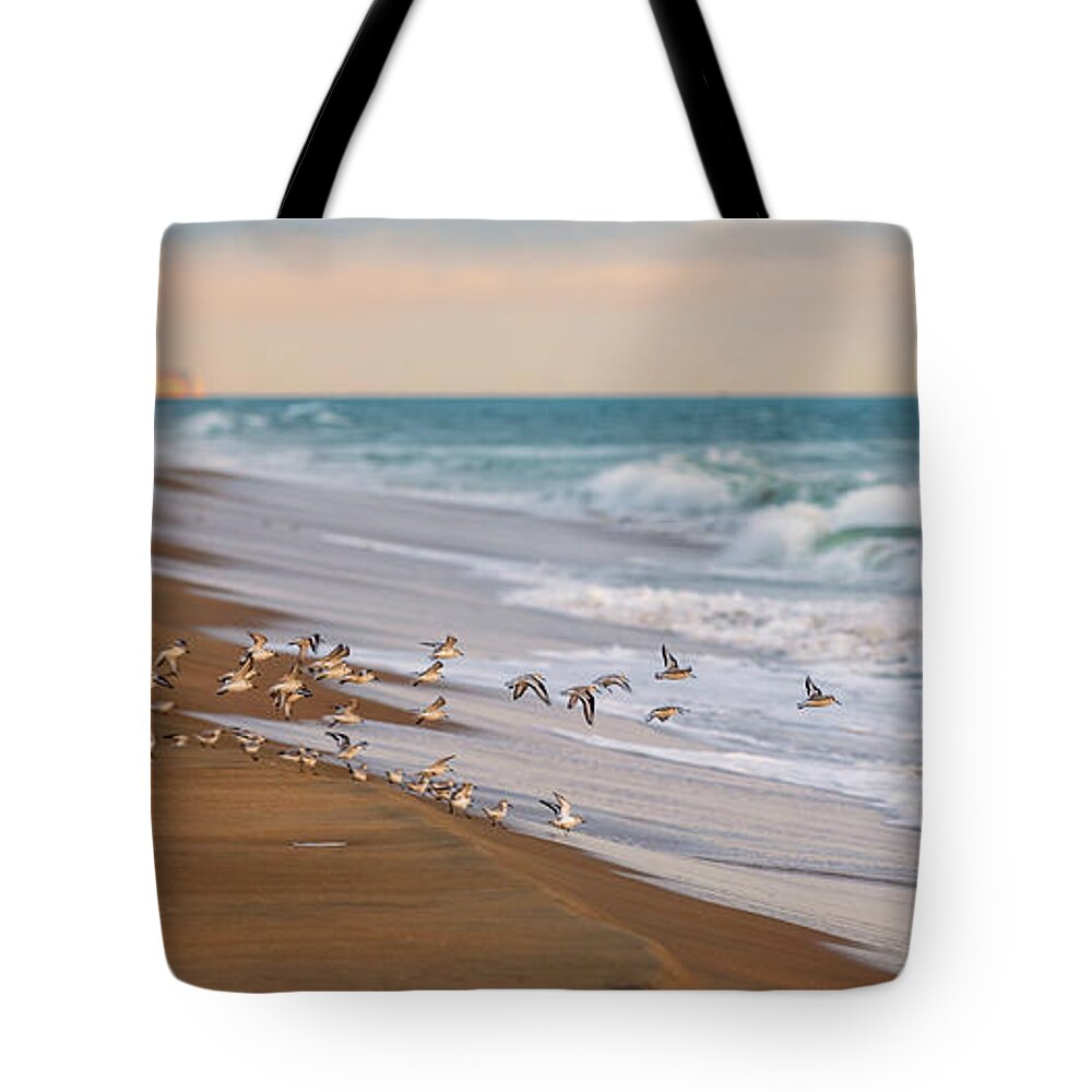 Sandpipers Tote Bag featuring the photograph Sandbridge Beach Sandpipers by Rachel Morrison