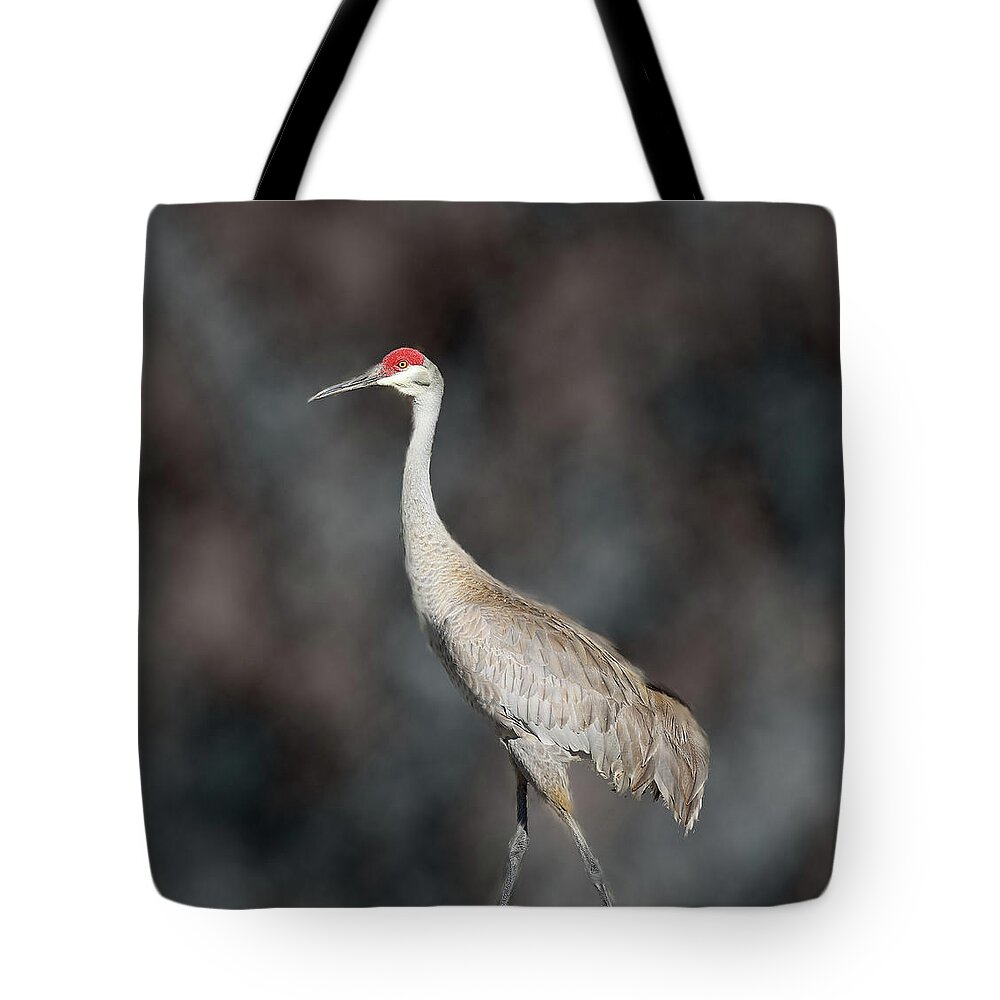 Sandhill Crane Tote Bag featuring the photograph Sandhill Crane 2 by Mingming Jiang