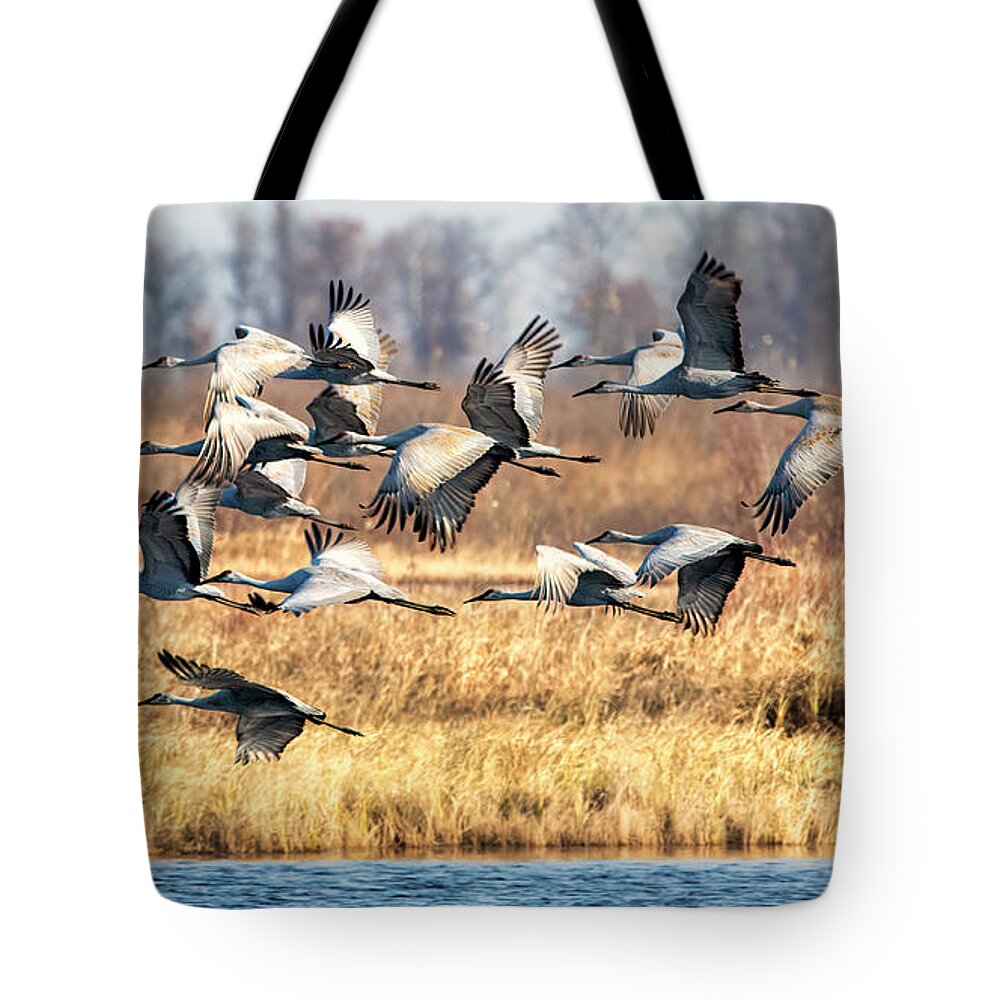 Sandhill Tote Bag featuring the photograph Sandhill Cranes by Al Mueller