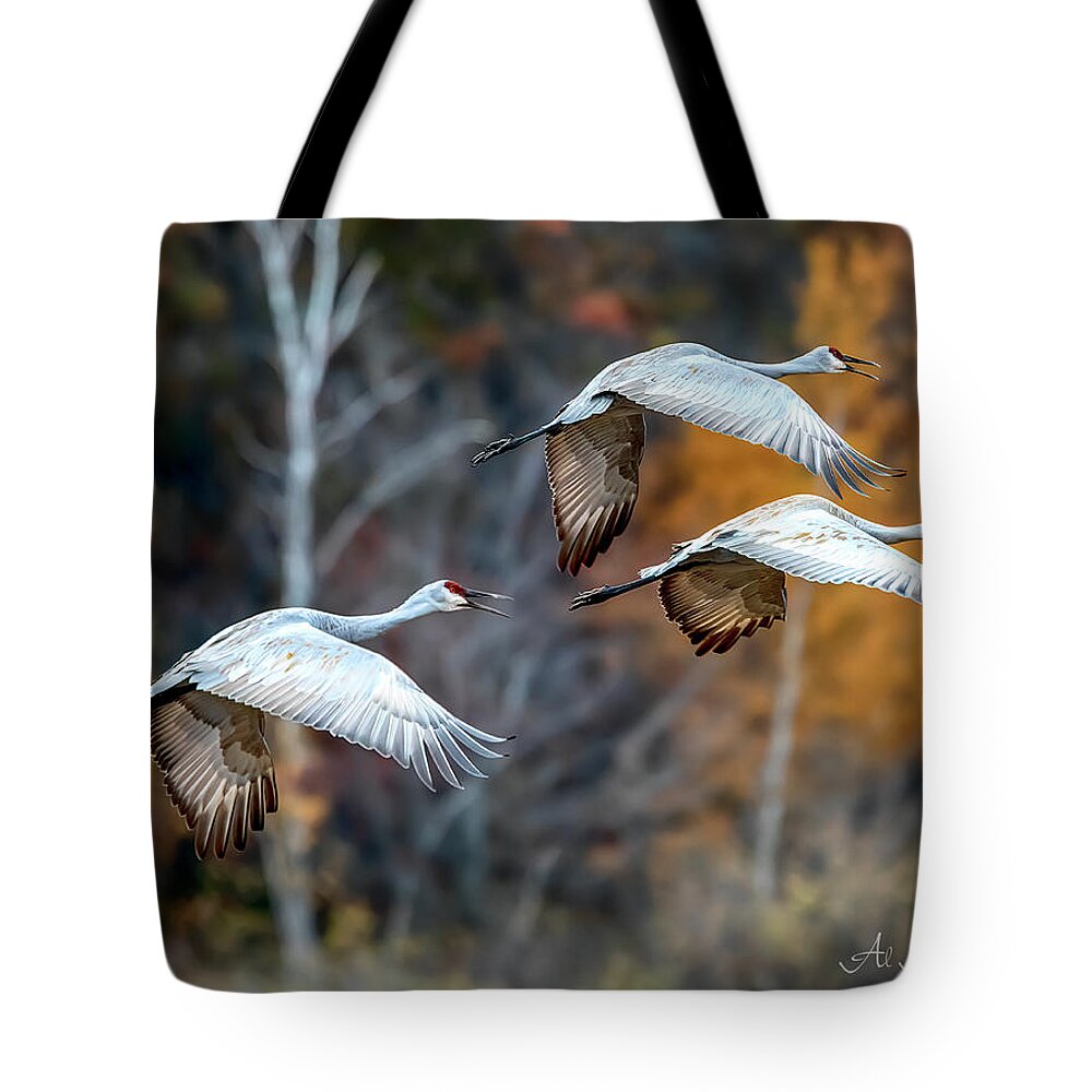 Bird Tote Bag featuring the photograph Sandhill Cranes migration by Al Mueller