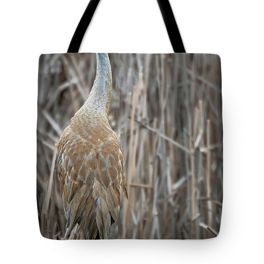 Sandhill Crane Tote Bag featuring the photograph Sandhill in the Cattails by Laura Hedien