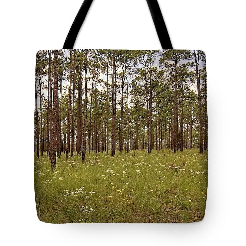 Sandhill Tote Bag featuring the photograph Sandhill Wildflowers by Paul Rebmann