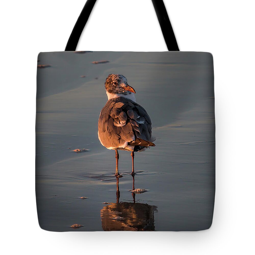 Bird Tote Bag featuring the photograph Sandpiper Morning Beach - Vertical by Patti Deters