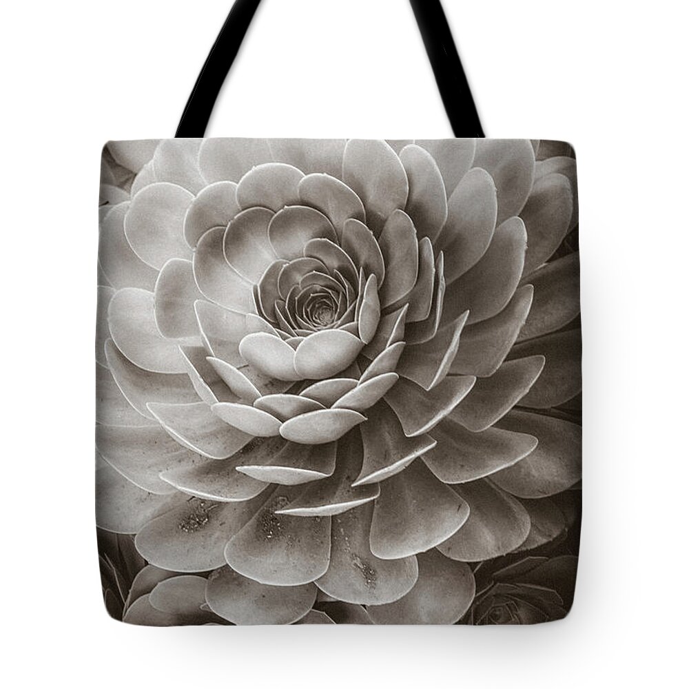 Soft Tote Bag featuring the photograph Santa Barbara Succulent#20 by Jennifer Wright