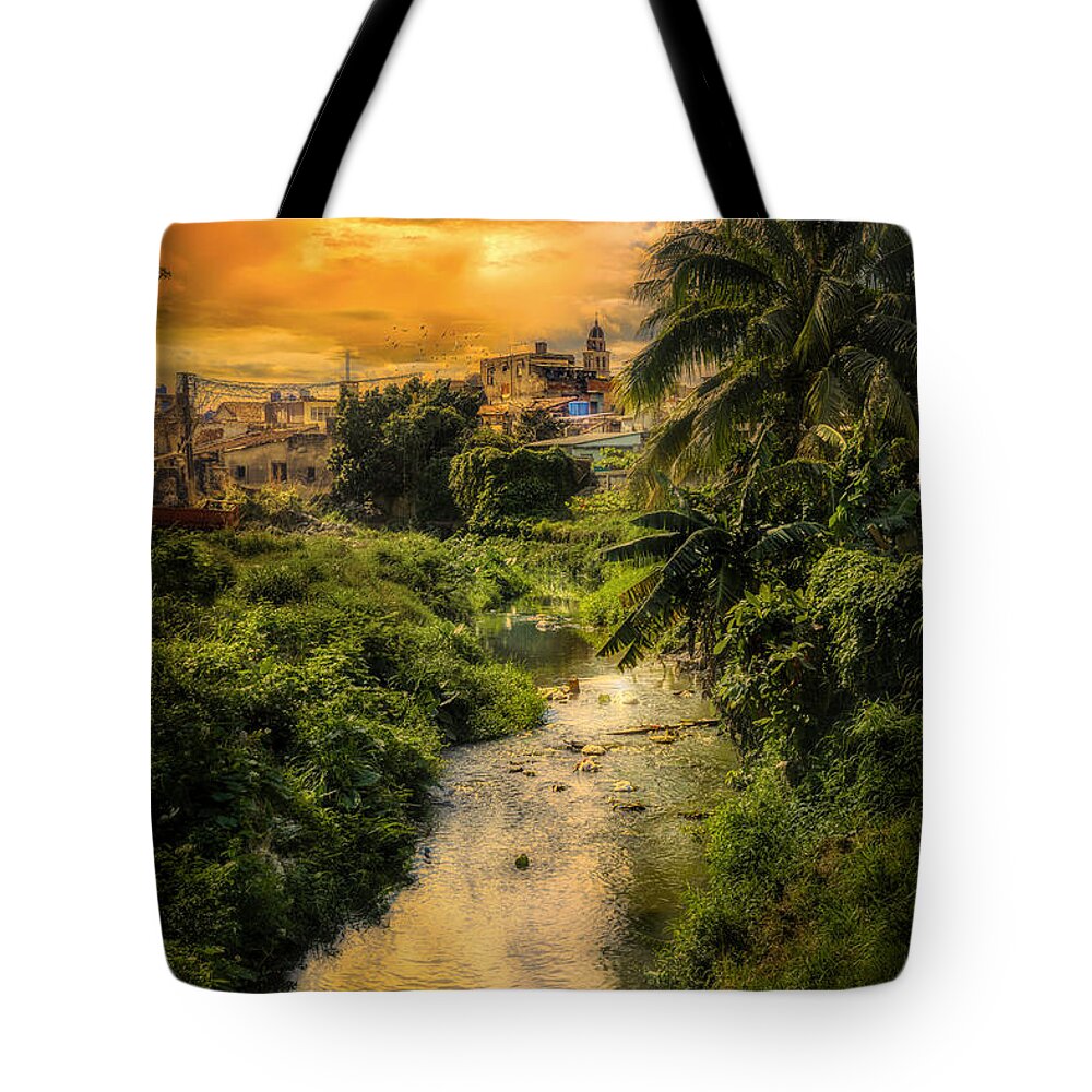 Creek Tote Bag featuring the photograph Santa Clara Guadalupe River by Micah Offman