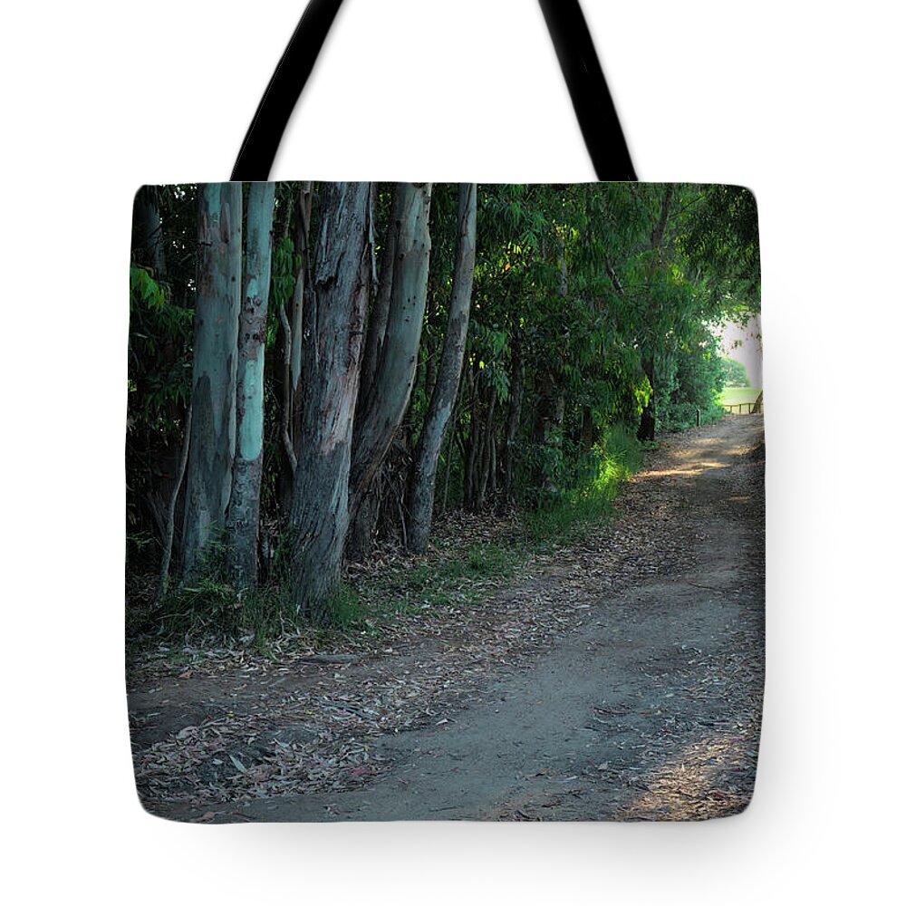 Forest Tote Bag featuring the photograph Sao Lourenco Trail in Quinta do Lago by Angelo DeVal