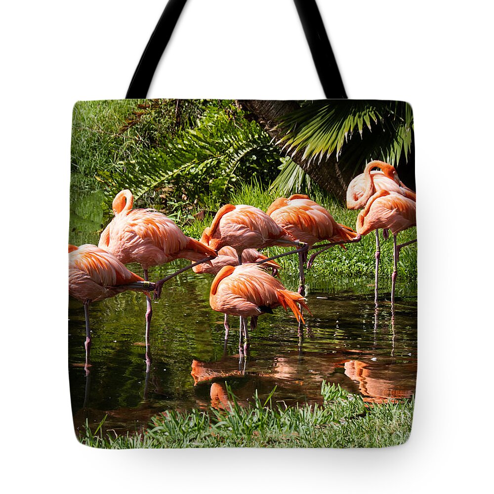 Flamingos Tote Bag featuring the photograph Sarasota Jungle Garden Flamingos in Vrksasana by L Bosco