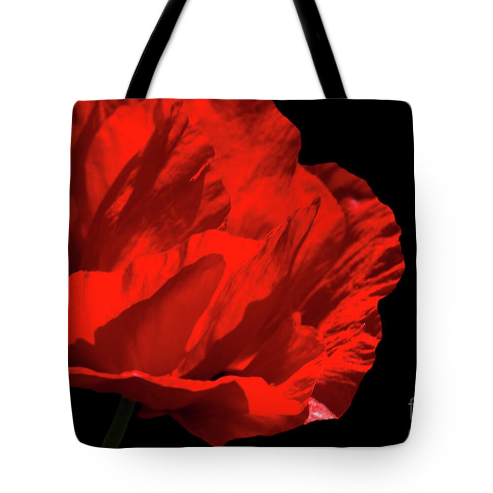 Beautiful Tote Bag featuring the photograph Satin Poppy by Stephen Melia