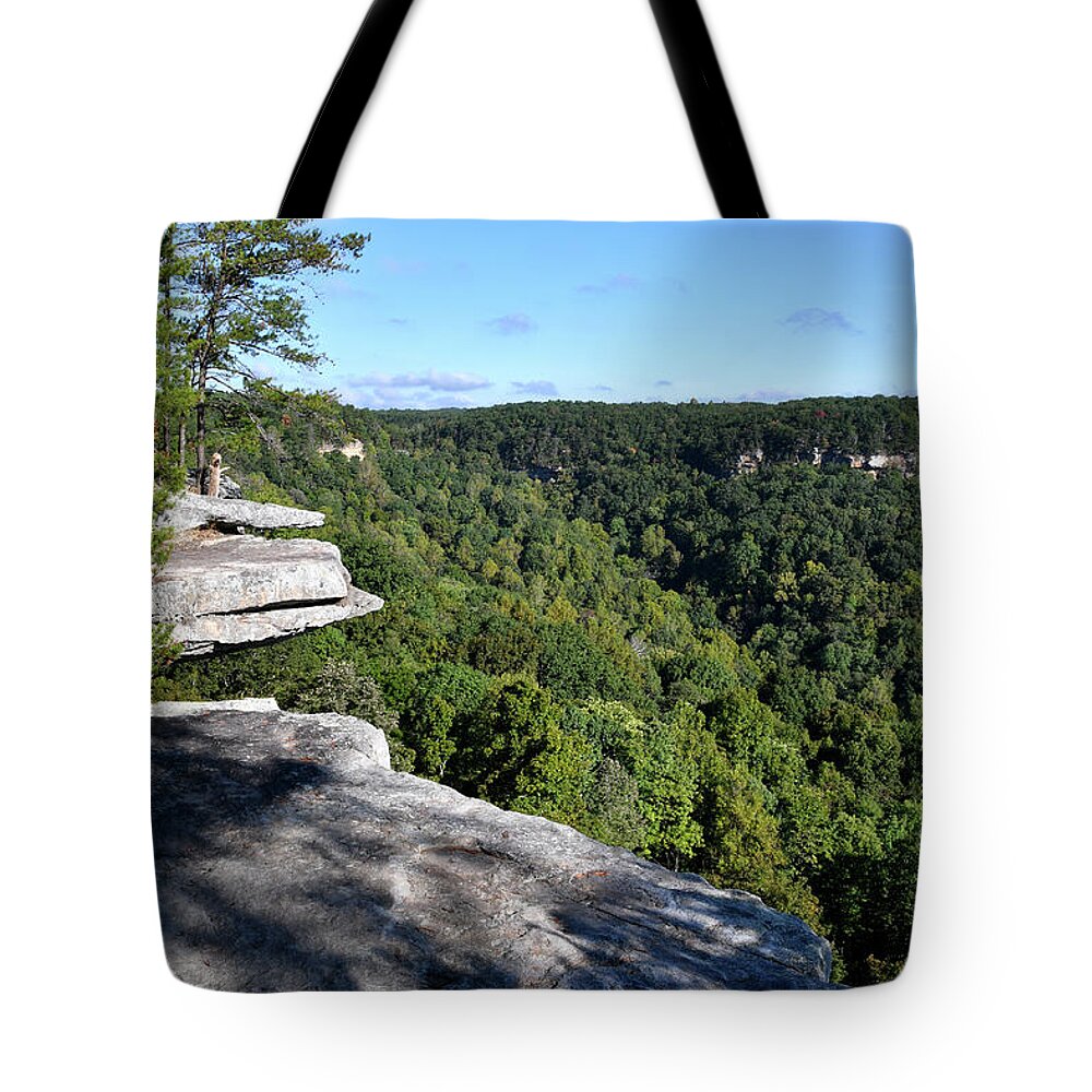 Savage Gulf Tote Bag featuring the photograph Savage Gulf 10 by Phil Perkins
