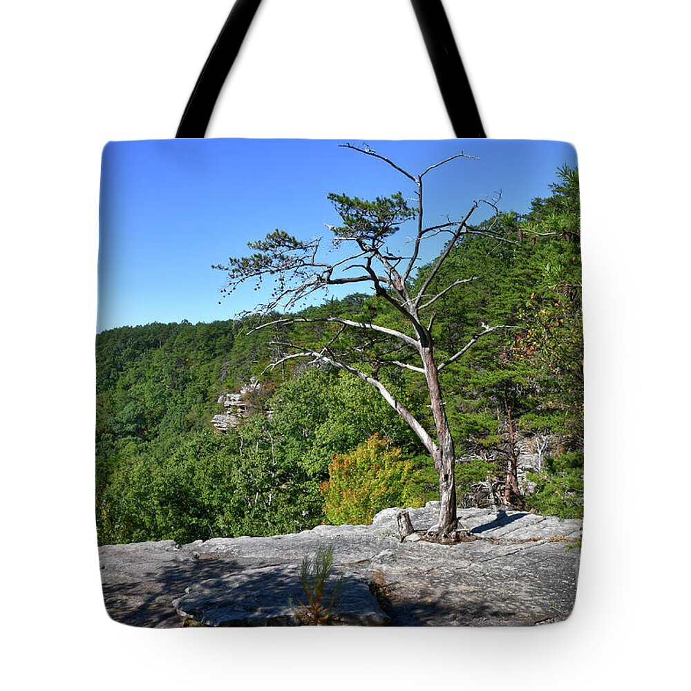 Savage Gulf Tote Bag featuring the photograph Savage Gulf 16 by Phil Perkins