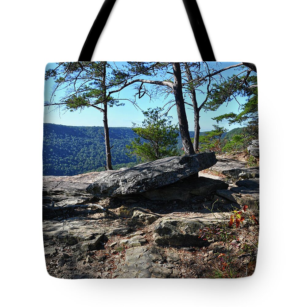 Savage Gulf Tote Bag featuring the photograph Savage Gulf 24 by Phil Perkins