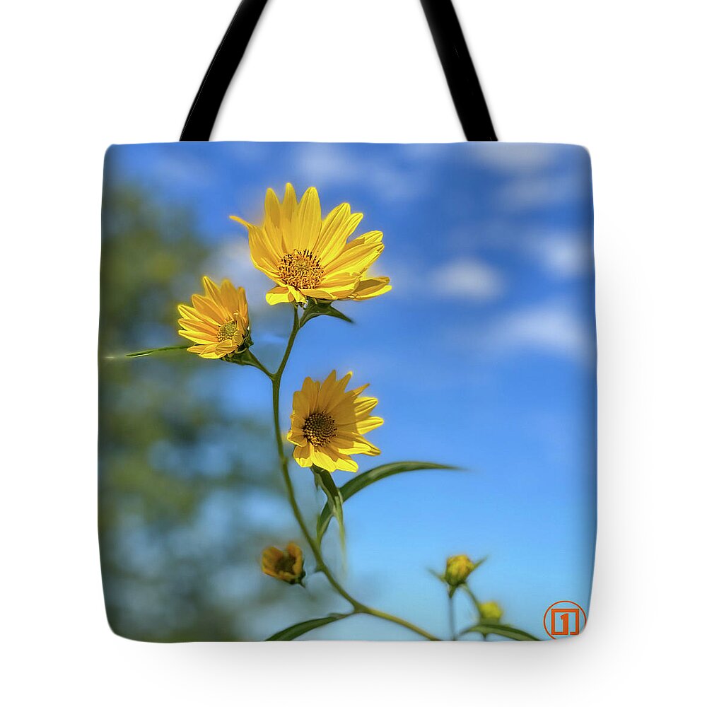 Sunflower Tote Bag featuring the photograph Sawtoothed Sunflowers by Grey Coopre