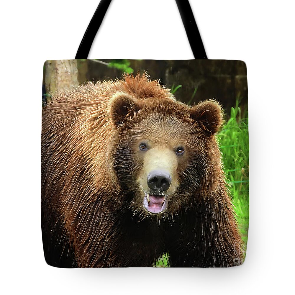 Grizzly Tote Bag featuring the photograph Say Cheese Pose by Scott Cameron