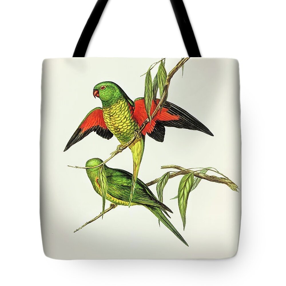 Scaly-breasted Lorikeet Tote Bags