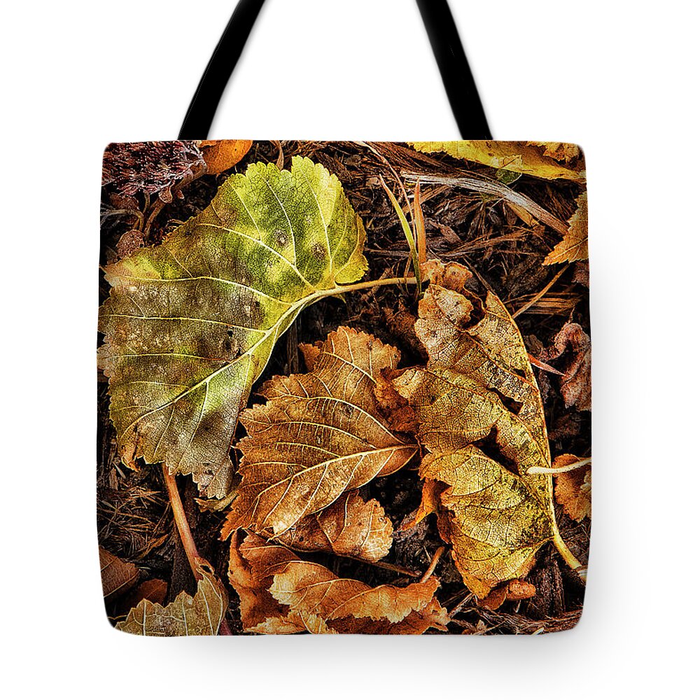 Autumn Tote Bag featuring the photograph Scattered About by Steve Sullivan