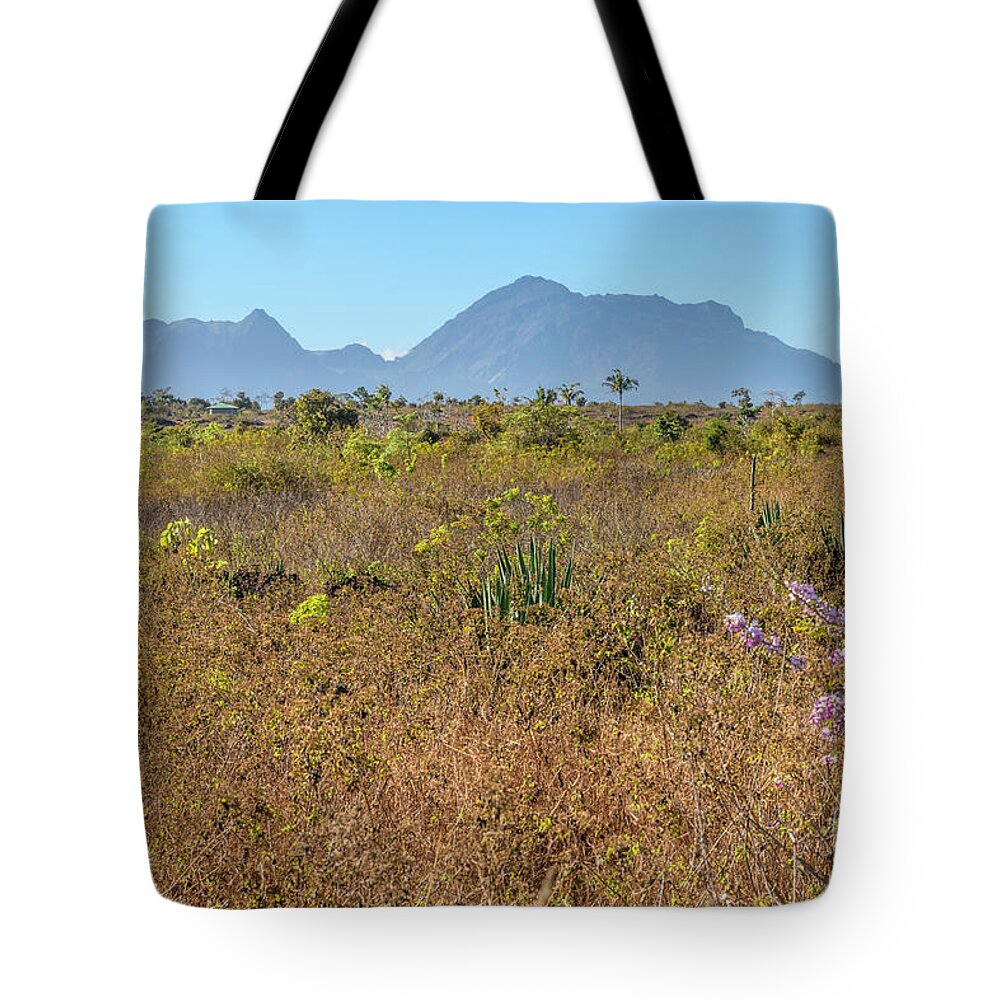 Asia Tote Bag featuring the photograph Scene from Timor-Leste 10 by Werner Padarin