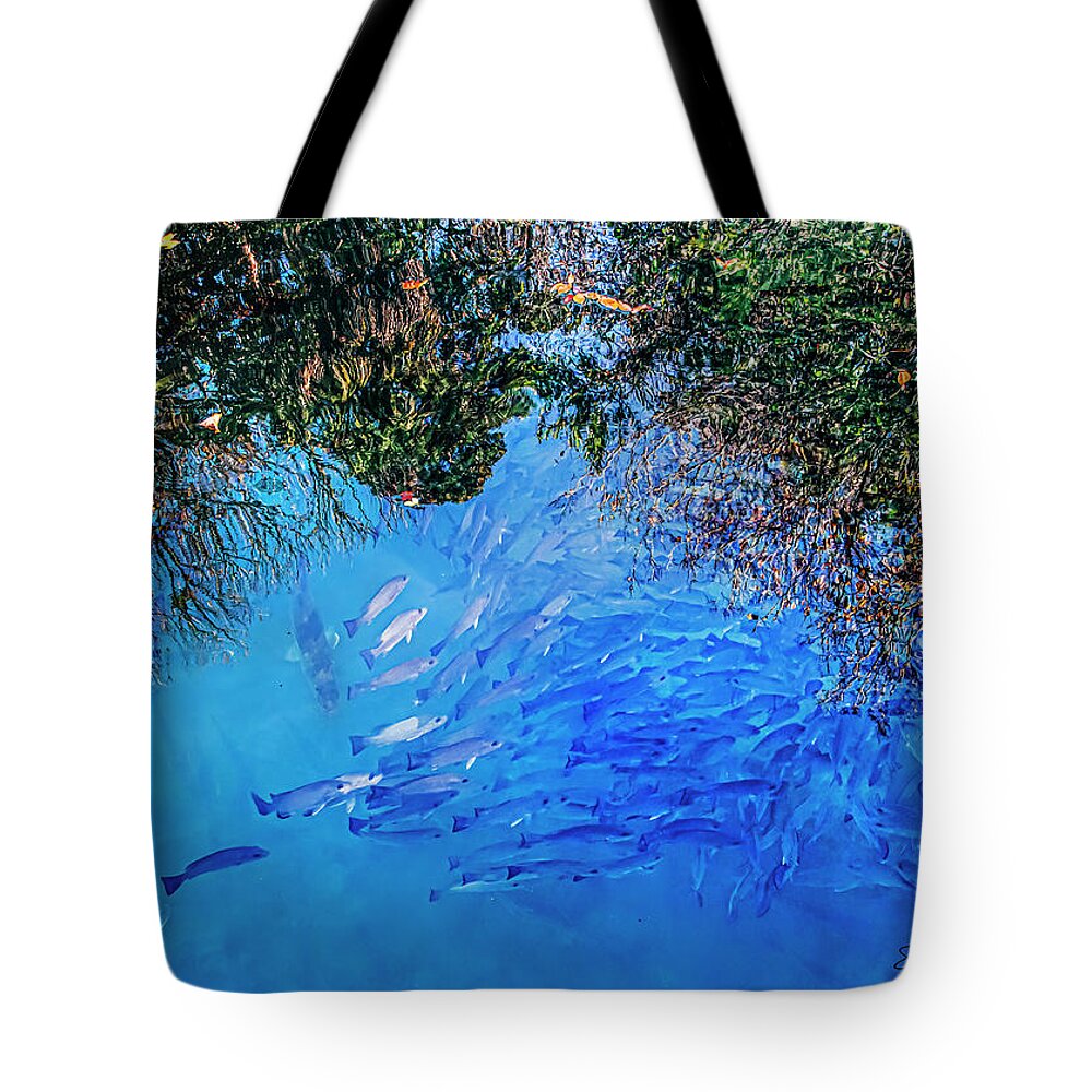 Fish Tote Bag featuring the photograph School Daze of Fishes by Shara Abel