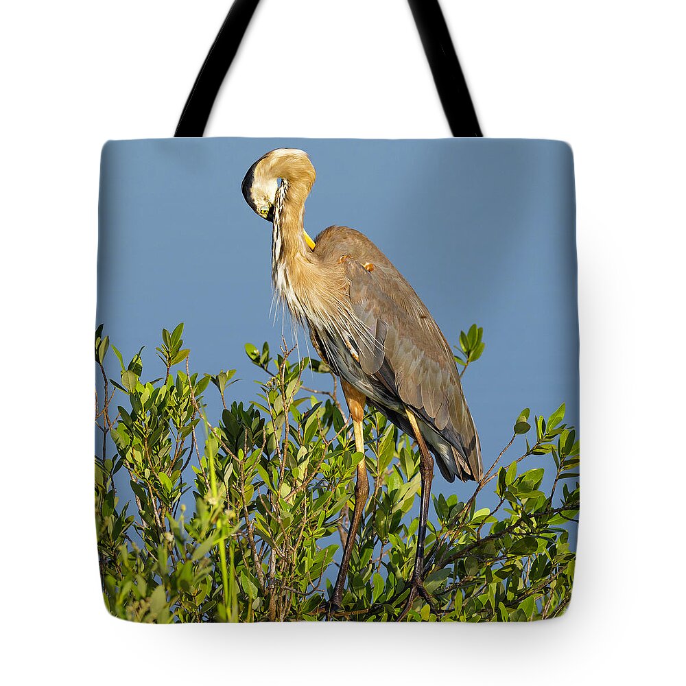 R5-2652 Tote Bag featuring the photograph Scratch that Itch by Gordon Elwell