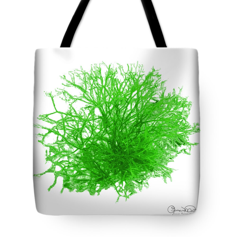 Sea Coral Twist 7 Tote Bag featuring the photograph Sea Coral Twist 7 by Susan Molnar