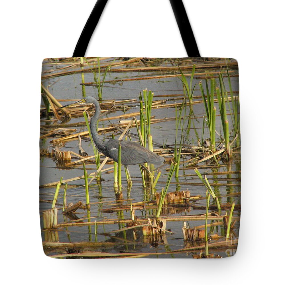 Sea Tote Bag featuring the digital art Sea, Grass, South, Padre, Island, Nature by Scott S Baker