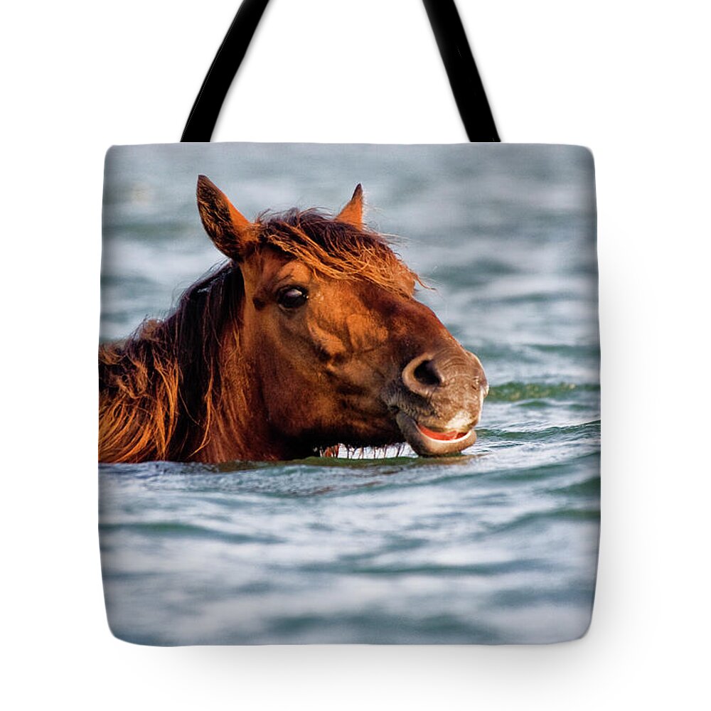 Seahorse Tote Bag featuring the photograph Sea Horse by Bob Decker