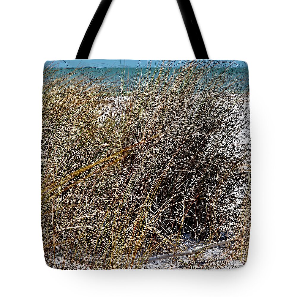 Sea Oats Tote Bag featuring the photograph Sea Oats at Honeymoon Island State Park by L Bosco