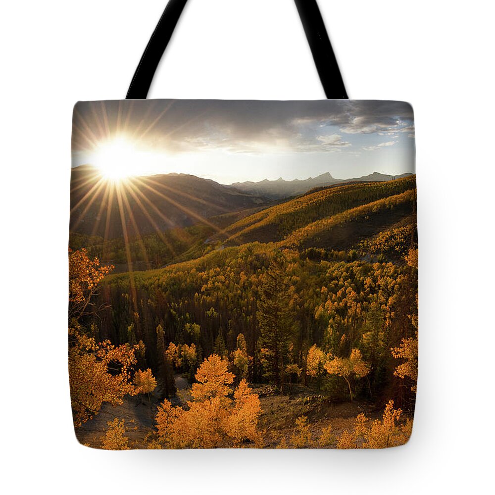 Aspen Tote Bag featuring the photograph Sea of Gold by Aaron Spong